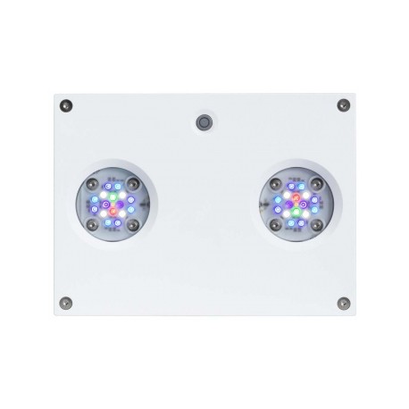 AI LAMPARA HYDRA 32 HD