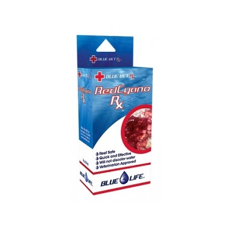 BLUE LIFE RED CYANO RX  1 oz