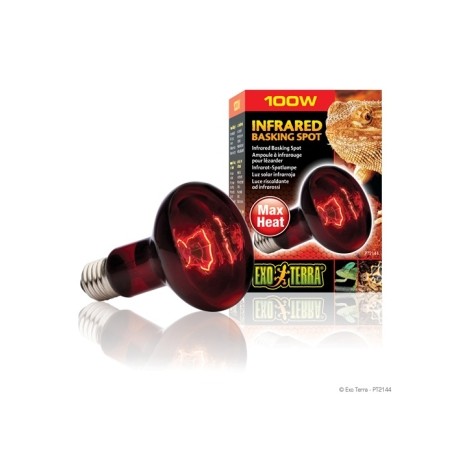 EXO TERRA FOCO INFRARED BASKING SPOT 100 W