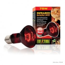EXO TERRA FOCO INFRARED BASKING SPOT 75 W
