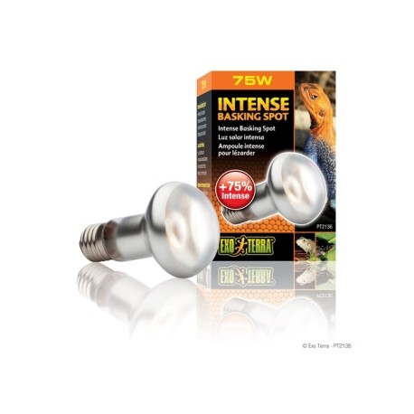 EXO TERRA FOCO INTENSE BASKING SPOT 75 W