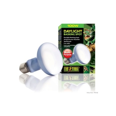 EXO TERRA FOCO SUN GLO NEODYMIUM 100 W