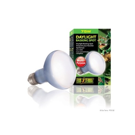 EXO TERRA FOCO SUN GLO NEODYMIUM 75 W